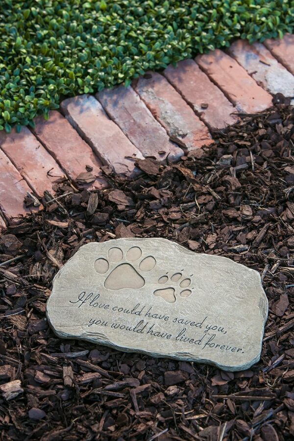 Evergreen Pet Paw Print If Love Could Have Saved You Garden Memorial Stone | Outdoor Safe | 12-Inch | Rainbow Bridge | Rememberance for Lost Love One - Image 9