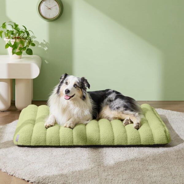 Lesure 4 Inch Thick Orthopedic Foam Dog Bed for Large Dogs, Waterproof Chic Flat Dog Bed with Removable Cover, Cute Fuzzy Pet Beds for Indoor Dogs (36" x 27", Green) - Image 2