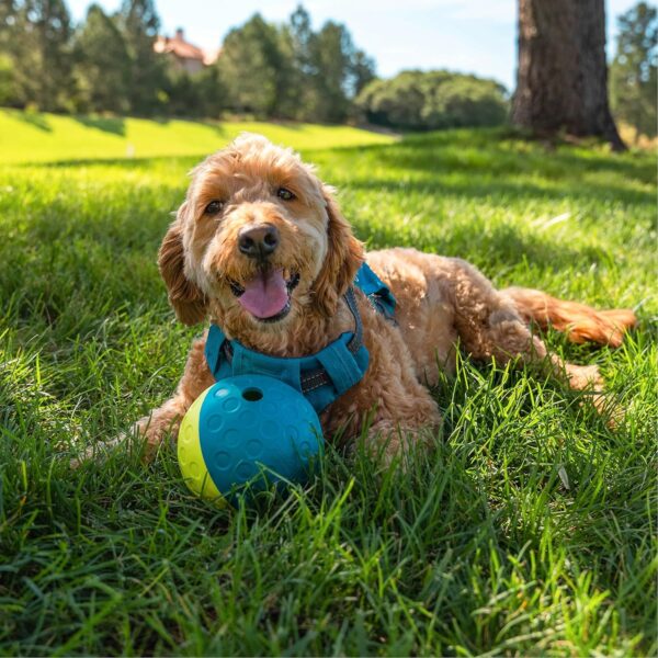 Outward Hound Nina Ottosson Treat Tumble Interactive Treat Ball Dog Puzzle Dog Enrichment Dog Toy, Level 1 Beginner, Blue, Small - Image 5