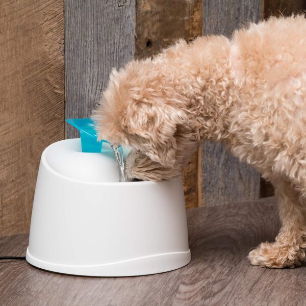 IRIS USA 44oz / 1.3L Cat Water Fountain, For Dog & Cat with Two Flow Options Automatic Pet Water Fountain Bowl Silent and Replaceable Charcoal Filter, White/Blue - Image 8