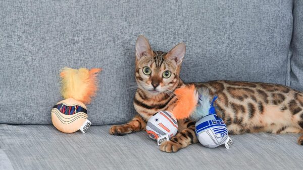 STAR WARS for Pets Cat Toys 3 Pack Feather Jingle Balls with Catnip: C3PO, BB8, R2-D2 | Fun Catnip Toys Jingle Ball Feather Toy for Cats | Cat Balls with Bells | Gifts Fans - Image 5