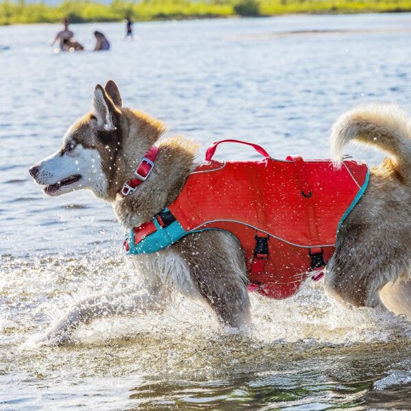 Kurgo Surf n’ Turf Dog Life Jacket | Lifejacket for Dogs | Dog Water Life Vest | Kayak Life Jacket for Pets | Dog Rain Jacket | for Pool or Lake | Reflective | Machine Washable | Chili Red | 5 Sizes - Image 6