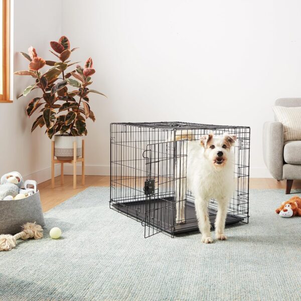 Amazon Basics - Durable, Foldable Metal Wire Dog Crate with Tray, Double Door, 36 x 23 x 25 Inches, Black - Image 7