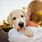 "Pet Care 101: A Comprehensive Guide for Pet Owners"